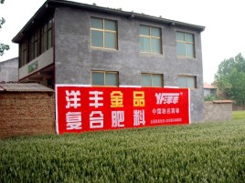 德昌如何让墙体广告展现最大化效果