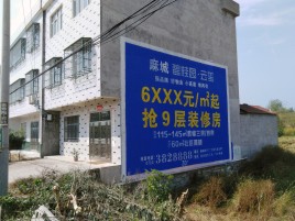 德昌墙体广告质量分析